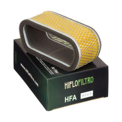 Filtre à air moto HIFLOFILTRO HFA4903